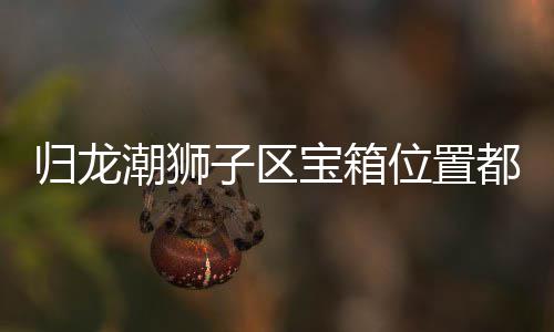 宝箱哪里都在区宝子区置分归龙 归箱位享龙潮位置潮狮狮子