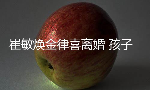 子均焕金 孩敏焕律喜离婚由崔抚养崔敏
