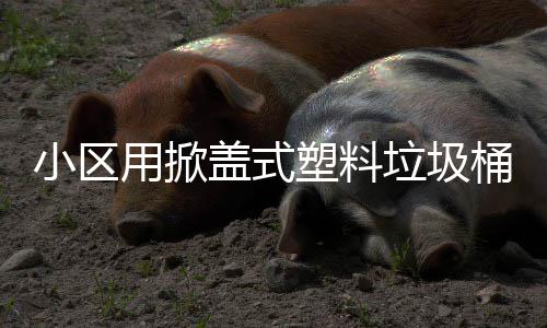 盖式小区桶垃圾用掀塑料